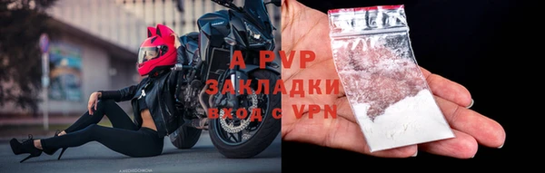 apvp Бородино